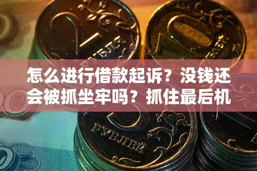 济南怎么进行借款起诉？没钱还会被抓坐牢吗？抓住最后机会！
