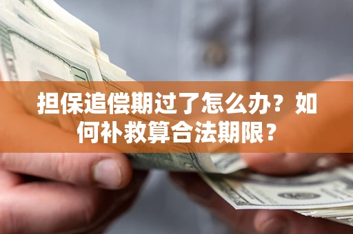 济南担保追偿期过了怎么办？如何补救算合法期限？
