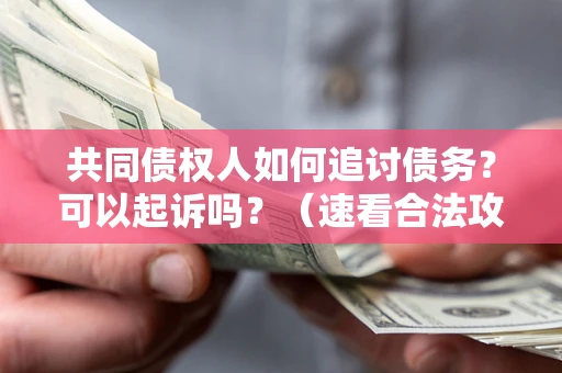 济南共同债权人如何追讨债务？可以起诉吗？（速看合法攻略）